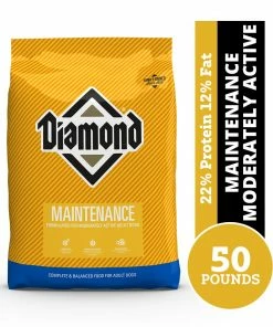 Diamond Maintenance for Moderately Active Adult Dogs, 50 lb. Bag - Dry Dog Food