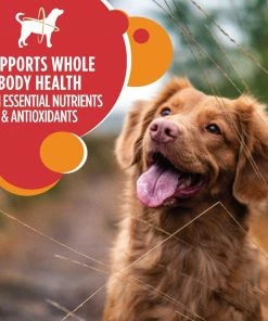 Iams Mini-Chunks Adult Lamb & Rice Recipe Dry Dog Food, 15 lb. Bag -Pets & Wildlife Sales Store dccdad6288ca3b2ea3f7423c801d26533e10c23c 10951479 3