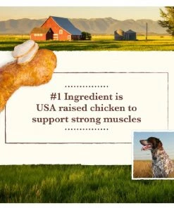 Whole Earth Farms Healthy Grains Chicken and Rice Recipe Dry Dog Food, 37 lb. Bag 12 Whole Earth Farms Healthy Grains Chicken and Rice Recipe Dry Dog Food, 37 lb. Bag -Pets & Wildlife Sales Store ddd55e1e9c5fdf4a7b480c6faecf6861be9e1b8a 13735879 3