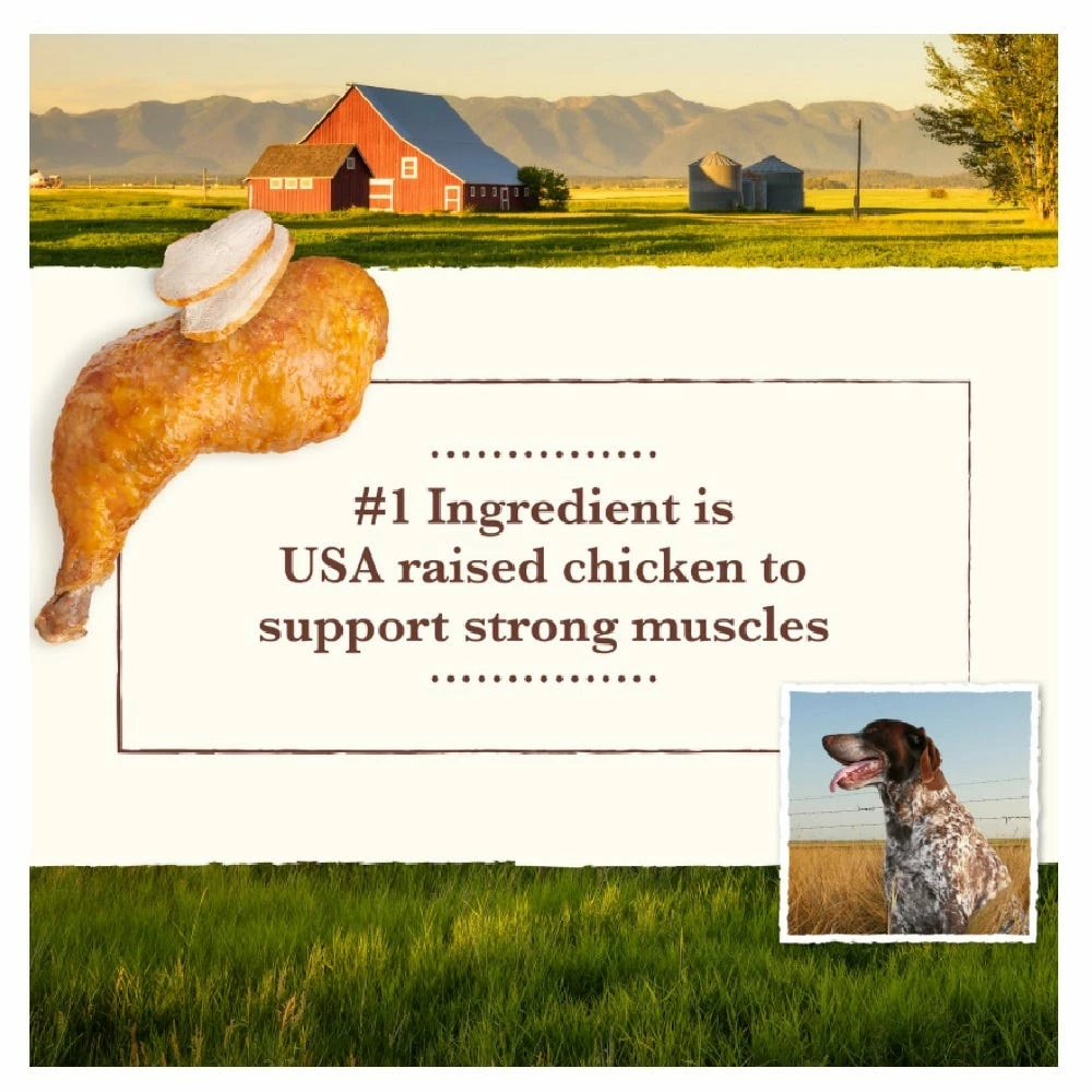 Whole Earth Farms Healthy Grains Chicken and Rice Recipe Dry Dog Food, 37 lb. Bag 7 Whole Earth Farms Healthy Grains Chicken and Rice Recipe Dry Dog Food, 37 lb. Bag - Image 5