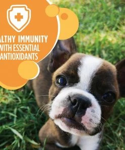 Iams ProActive Health Smart Puppy Chicken & Whole Grains Recipe Dry Puppy Food, 15 lb. Bag - Dry Dog Food -Pets & Wildlife Sales Store ddf1834de72526542854647de15c565a094efab5 10951518 9