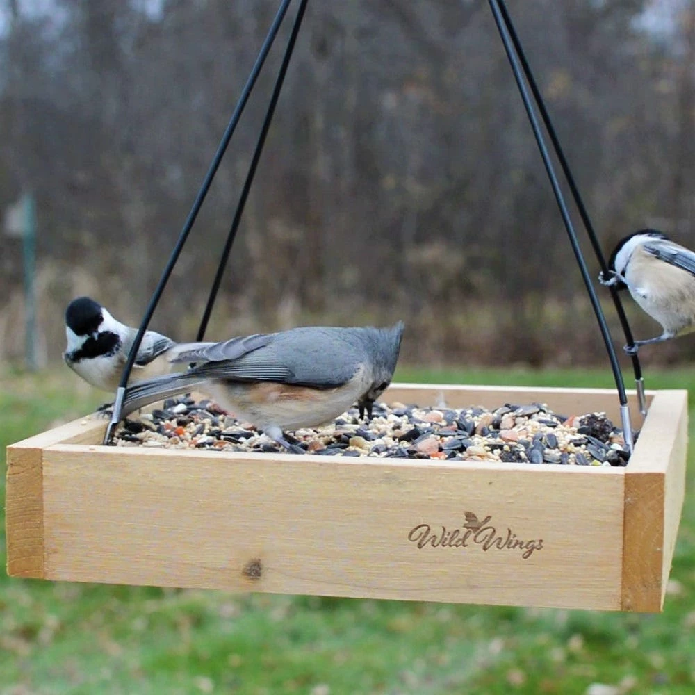 Nature's Way Cedar Tray Wild Bird Feeder - WWCF23 - Wild Bird Feeders 10 Nature's Way Cedar Tray Wild Bird Feeder - WWCF23 - Wild Bird Feeders - Image 8