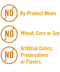 Chicken Soup for the Soul Weight & Mature Care - Chicken & Brown Rice Recipe Dry Cat Food, 13.5 lb. Bag -Pets & Wildlife Sales Store de66801d0bac396b3a0d0b1fe4d7c44d31d7daed 2022003845 5