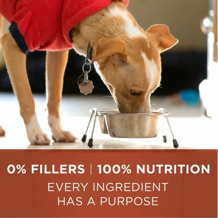 Purina ONE Weight Management, Natural Dry Dog Food, SmartBlend Healthy Weight Formula - 8 lb. Bag 10 Purina ONE Weight Management, Natural Dry Dog Food, SmartBlend Healthy Weight Formula - 8 lb. Bag - Image 8