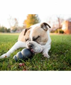 Kong®Extreme Lg - Dog Toys -Pets & Wildlife Sales Store df57065be265e0a4591bfc131c8187311d751b5b k1 6