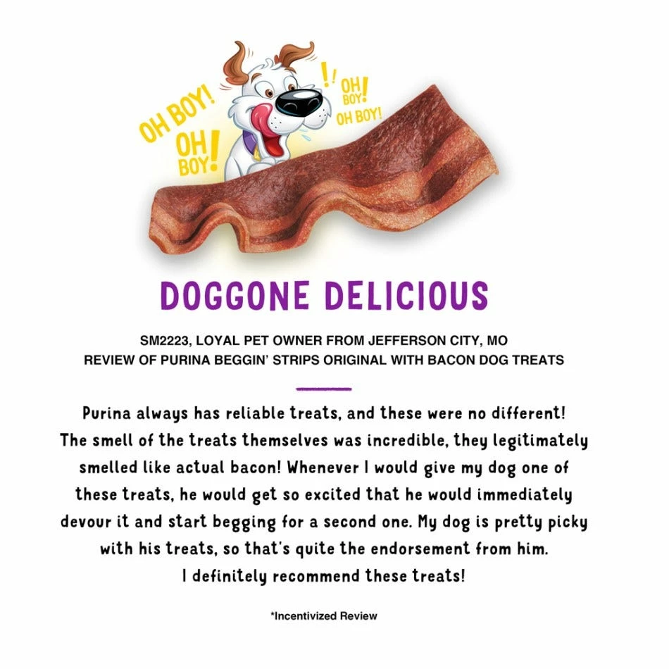 Purina Beggin' Strips Bacon Flavor Dog Treats, 25 oz. Pouch 8 Purina Beggin' Strips Bacon Flavor Dog Treats, 25 oz. Pouch - Image 6
