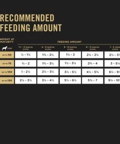 Purina Pro Plan Chicken & Rice Formula Large Breed Dry Puppy Food, 47 lb. Bag - Dry Dog Food 14 Purina Pro Plan Chicken & Rice Formula Large Breed Dry Puppy Food, 47 lb. Bag - Dry Dog Food -Pets & Wildlife Sales Store e0a4c28338b3a48522ac71b77d2045a3a55c0079 352020262 4
