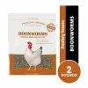 Pecking Order Boonworms Poultry Treats, 2 lb. Bag - Bird Seed & Food -Pets & Wildlife Sales Store e10ff5baabbc803ae745ea5526f0a89a263efcbe 520390002.1