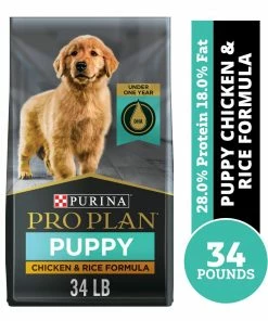 Purina Pro Plan FOCUS Chicken & Rice Formula Dry Puppy Food, 34 lb. Bag - Dog Food