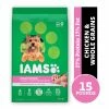 Iams Chicken & Whole Grains Recipe Adult Small & Toy Breed Dry Dog Food, 15 lb. Bag