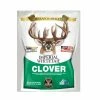 Imperial Whitetail Clover (Perennial) 2 lbs. Covers ¼ Acre - IMP2 - Deer Feed 2 Imperial Whitetail Clover (Perennial) 2 lbs. Covers ¼ Acre - IMP2 - Deer Feed -Pets & Wildlife Sales Store e3128b6518e86a1ee0ecb073a0e41c98b44eacbb 3650723