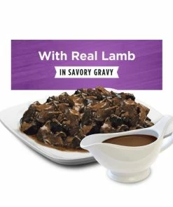 Purina Dog Chow High Protein Lamb in Savory Gravy Adult Wet Dog Food, 13 oz. Can -Pets & Wildlife Sales Store e34f88aa30b1bbef1149a94b1c30cc4a0b7699b6 35201334 6