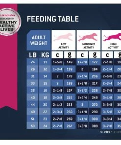 Eukanuba Senior Medium Breed Chicken Formula Dry Dog Food, 15 lb. Bag -Pets & Wildlife Sales Store e63804f879aae7a7a66452329592680c2e6c9d61 10952008 5