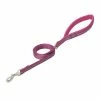 Terrain D.O.G. Reflective Neoprene Lined Dog Leash, Purple, 3/4" x 6' - 07-5620-R11-6 - Dog Collars & Leashes -Pets & Wildlife Sales Store e724c685d45a6837c26bc1729e6901e780b32653 67531617