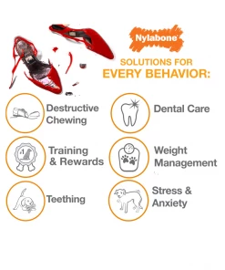 Nylabone Just for Puppies Teething Chew Keys, X-Small/Petite, 1 Count - N219P - Dog Toys 12 Nylabone Just for Puppies Teething Chew Keys, X-Small/Petite, 1 Count - N219P - Dog Toys -Pets & Wildlife Sales Store e7646c73358ecdb50b8b4d3e018b5353a5095ead 67610142 2