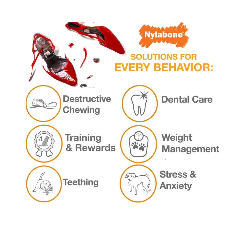 Nylabone Just for Puppies Teething Chew Keys, X-Small/Petite, 1 Count - N219P - Dog Toys 6 Nylabone Just for Puppies Teething Chew Keys, X-Small/Petite, 1 Count - N219P - Dog Toys - Image 4