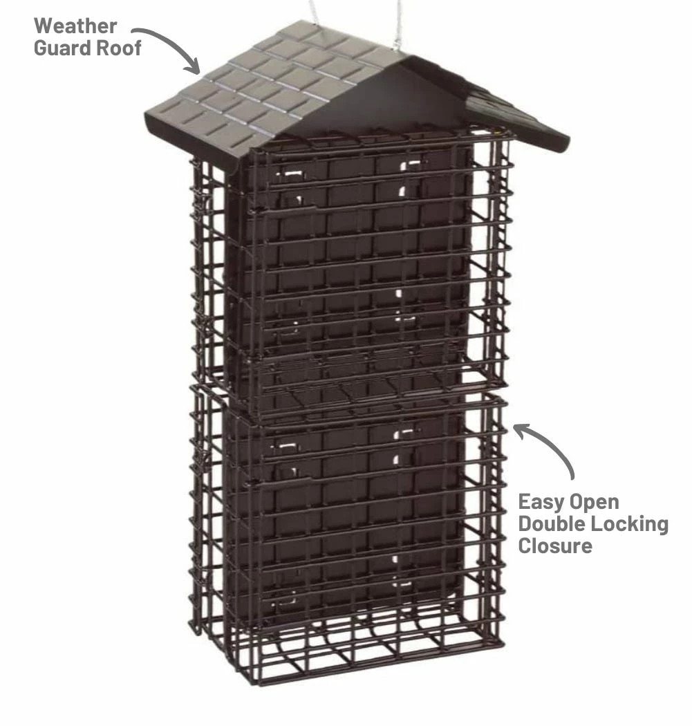 More Birds Four Cake Suet Buffet with Weather Guard - 38129 - Wild Bird Feeders 4 More Birds Four Cake Suet Buffet with Weather Guard - 38129 - Wild Bird Feeders - Image 2