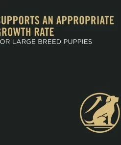 Purina Pro Plan Chicken & Rice Formula Large Breed Dry Puppy Food, 47 lb. Bag - Dry Dog Food 19 Purina Pro Plan Chicken & Rice Formula Large Breed Dry Puppy Food, 47 lb. Bag - Dry Dog Food -Pets & Wildlife Sales Store e983be1300209ce13b1e5a3301c611cc036e29e3 352020262 9