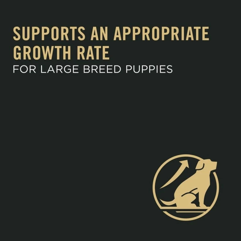 Purina Pro Plan Chicken & Rice Formula Large Breed Dry Puppy Food, 47 lb. Bag - Dry Dog Food 11 Purina Pro Plan Chicken & Rice Formula Large Breed Dry Puppy Food, 47 lb. Bag - Dry Dog Food - Image 9
