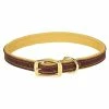 Terrain D.O.G. Deer Ridge Collar, 1" x 25" - 06-1313-25 - Dog Collars & Leashes -Pets & Wildlife Sales Store eabd12e88241f3f35030bb9a45254eb42c114c04 67531323