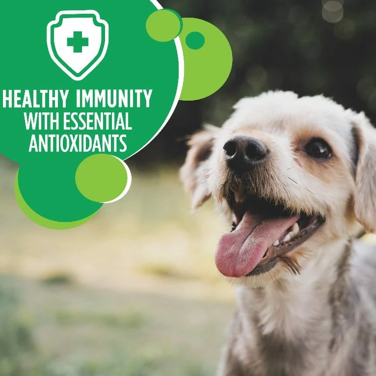 Iams Adult Small & Toy Breed Dry Dog Food with Real Chicken & Whole Grains, 7 lb. Bag 8 Iams Adult Small & Toy Breed Dry Dog Food with Real Chicken & Whole Grains, 7 lb. Bag - Image 6