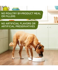 Rachael Ray Nutrish Zero Grain Real Chicken & Apple Recipe, Wet Dog Food, 13 oz. -Pets & Wildlife Sales Store ec57741d9ed9336eefa102e7fe137dfb7323dfa3 11022292 3