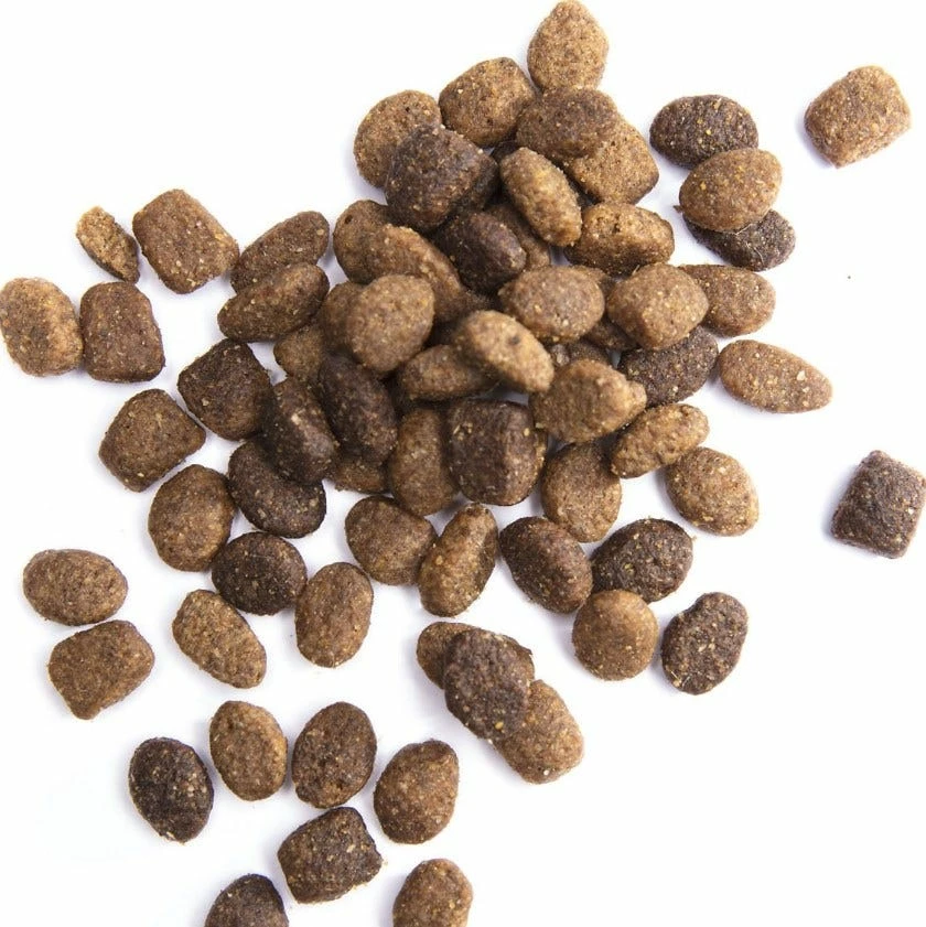 Iams ProActive Health Smart Puppy Chicken & Whole Grains Recipe Dry Puppy Food, 7 lb. Bag - Dry Dog Food 8 Iams ProActive Health Smart Puppy Chicken & Whole Grains Recipe Dry Puppy Food, 7 lb. Bag - Dry Dog Food - Image 6