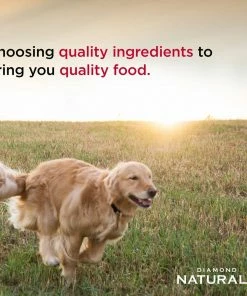 Diamond Naturals Small & Medium Breed Puppy Chicken & Rice Formula, 6 lb. Bag - Dry Dog Food -Pets & Wildlife Sales Store ed9fa637ce67af26be59f2b3e471513b4d039ba0 60610101 5