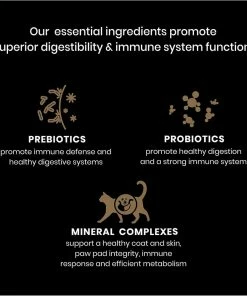 Victor Classic Mers Feline Multi Cat Dry Cat Food, 5 lb. Bag -Pets & Wildlife Sales Store ef2b6864ea5d275f9141800f78f2426a9e08c39a 2022009921 4