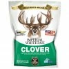 Imperial Whitetail Perennial Clover, 4 lbs. - Covers ½ Acre - IMP4 - Deer Feed 2 Imperial Whitetail Perennial Clover, 4 lbs. - Covers ½ Acre - IMP4 - Deer Feed -Pets & Wildlife Sales Store efa03c118d2585287760c381dc6fc31c34c36ab2 3650724