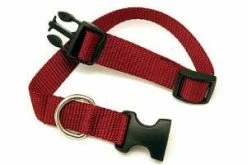 Scott Pet Small Adjustable Pet Collar 1425 - Dog Collars & Leashes