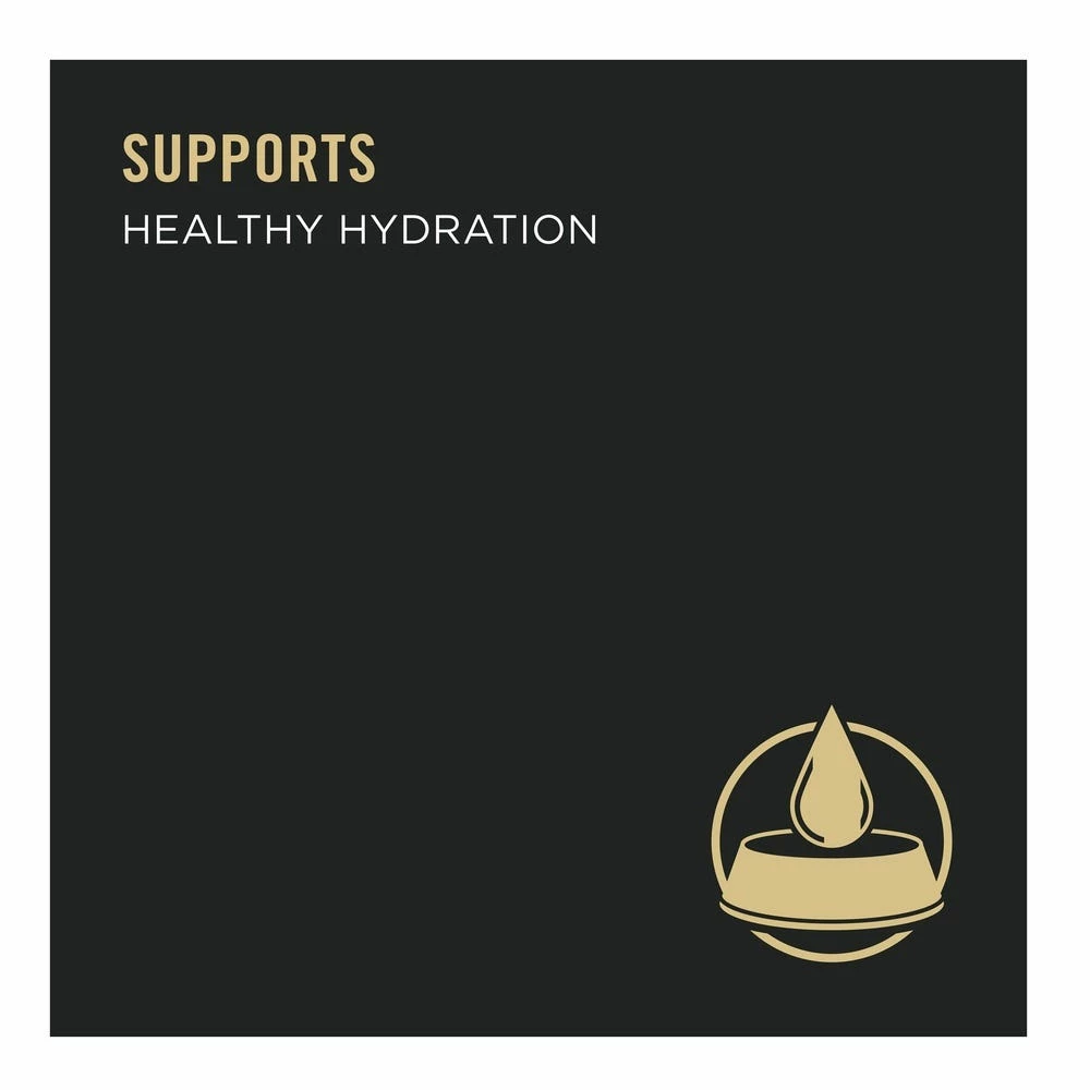 NESTLE PURINA PETCARE CO Purina Pro Plan Sport High Protein Wet Dog Food Variety Pack, (12) 13 oz. Cans 11 NESTLE PURINA PETCARE CO Purina Pro Plan Sport High Protein Wet Dog Food Variety Pack, (12) 13 oz. Cans - Image 9