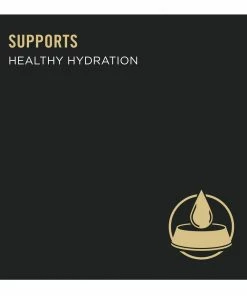 NESTLE PURINA PETCARE CO Purina Pro Plan Sport High Protein Chicken & Rice Entrée Wet Dog Food, 13 oz. Can 16 NESTLE PURINA PETCARE CO Purina Pro Plan Sport High Protein Chicken & Rice Entrée Wet Dog Food, 13 oz. Can -Pets & Wildlife Sales Store f01667eb54e4fb841dae1a6fe5e9f5824b61078e 35200615 6