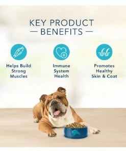 Blue Buffalo Basics Limited Ingredient Grain-Free Formula Turkey & Potato Recipe Adult Dry Dog Food, 24 lb. Bag 12 Blue Buffalo Basics Limited Ingredient Grain-Free Formula Turkey & Potato Recipe Adult Dry Dog Food, 24 lb. Bag -Pets & Wildlife Sales Store f0583ad8d6dfef82caff6601b32e999b4dc2c1ba 137355124 4