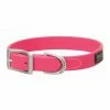 Terrain D.O.G. Brahma Webb® Dog Collar 3/4 x 15 Inch - Hot Pink - 07-3125-HP-15 - Dog Collars & Leashes -Pets & Wildlife Sales Store f0c95d01ca00fe75516886d3c1b5340032a83ed3 67531575