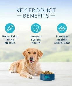 Blue Buffalo Life Protection Formula Adult Chicken & Brown Rice Recipe Dry Dog Food, 6 lb. Bag -Pets & Wildlife Sales Store f1219210022af2098ef007f506b6ee37d936c761 13735006 4