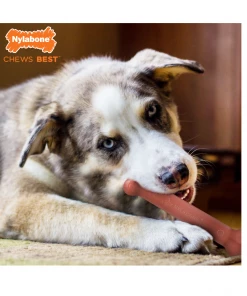 Nylabone Power Chew Flavored Durable Chew Toy for Dogs, Bacon, Large/Giant, 1 Count Bone - NB104P - Dog Toys 18 Nylabone Power Chew Flavored Durable Chew Toy for Dogs, Bacon, Large/Giant, 1 Count Bone - NB104P - Dog Toys -Pets & Wildlife Sales Store f224e644c7e4542c2e0ea696d760cfce8f284996 67610252 5