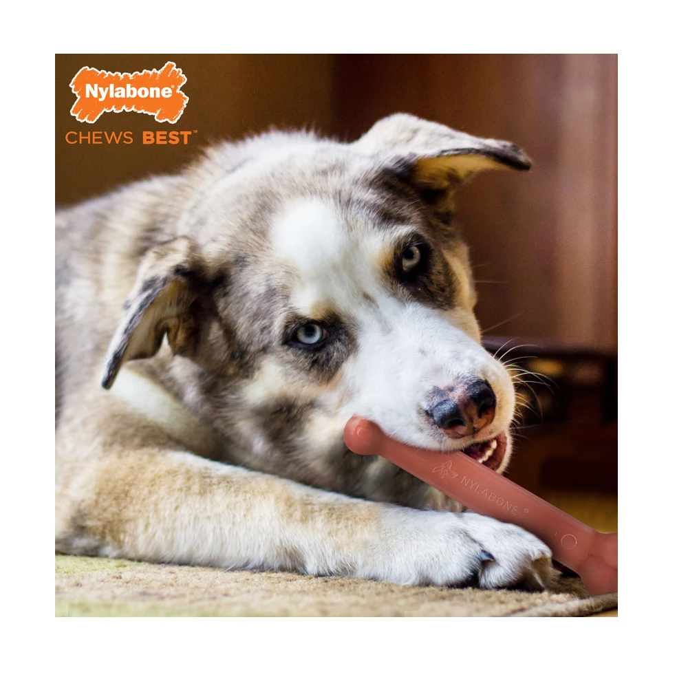 Nylabone Power Chew Flavored Durable Chew Toy for Dogs, Bacon, Large/Giant, 1 Count Bone - NB104P - Dog Toys 8 Nylabone Power Chew Flavored Durable Chew Toy for Dogs, Bacon, Large/Giant, 1 Count Bone - NB104P - Dog Toys - Image 6