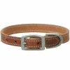 Terrain D.O.G. Harness Leather Dog Collar - 3/4 Inch x 15 Inch - 06-2001-15 - Dog Collars & Leashes -Pets & Wildlife Sales Store f361740babff1773c4613ba42cd02cf17fe871f5 67531052 67531052 image 06 2001