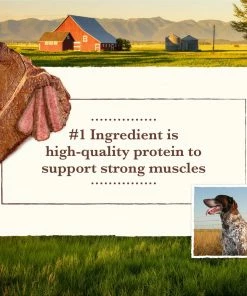 Whole Earth Farms Grain Free Recipe Dry Dog Food with Pork, Beef & Lamb, 25 lb. Bag -Pets & Wildlife Sales Store f43916d82395de4b7b5e915cb014c11b322b9450 13735465 7