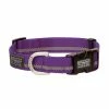 Terrain D.O.G. Reflective Snap-N-Go Adjustable Dog Collar, Large, Purple - 07-0857-R11 - Dog Collars & Leashes