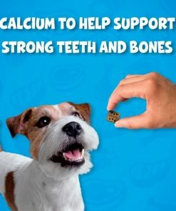 Purina Alpo Variety Snaps Little Bites With Beef, Bacon, Cheese & Peanut Butter Flavors Dog Treats, 32 oz. 22 Purina Alpo Variety Snaps Little Bites With Beef, Bacon, Cheese & Peanut Butter Flavors Dog Treats, 32 oz. -Pets & Wildlife Sales Store f8f243d16a676ca10ed819f363da1bf690a91a47 352020245 9