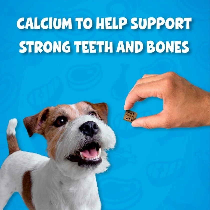 Purina Alpo Variety Snaps Little Bites With Beef, Bacon, Cheese & Peanut Butter Flavors Dog Treats, 32 oz. 12 Purina Alpo Variety Snaps Little Bites With Beef, Bacon, Cheese & Peanut Butter Flavors Dog Treats, 32 oz. - Image 10