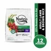 Nutro Natural Choice Adult Lamb & Brown Rice Recipe Natural Dry Dog Food, 12 lb. Bag -Pets & Wildlife Sales Store fa79f5c20e4e152ad58e103e6a968ab7b5a142bf 42041988
