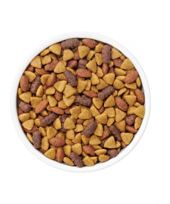 NESTLE PURINA PETCARE CO Purina Dog Chow Complete Adult Real Lamb Dry Dog Food, 46 lb. Bag