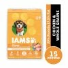 Iams ProActive Health Smart Puppy Chicken & Whole Grains Recipe Dry Puppy Food, 15 lb. Bag - Dry Dog Food 1 Iams ProActive Health Smart Puppy Chicken & Whole Grains Recipe Dry Puppy Food, 15 lb. Bag - Dry Dog Food -Pets & Wildlife Sales Store fb3c8528b6e8781d532d00f40f85ae44a1f4fc25 10951518