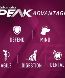 Eukanuba Premium Performance 26/16 Exercise Adult Dry Dog Food, 28 lb. Bag 14 Eukanuba Premium Performance 26/16 Exercise Adult Dry Dog Food, 28 lb. Bag -Pets & Wildlife Sales Store fb7af67e97107907f8b16124600c3bcfc5896697 55682013 7