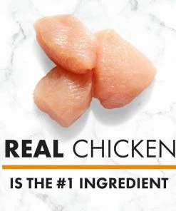 Nutro Natural Choice Chicken & Brown Rice Recipe Small Breed Senior Dry Dog Food, 5 lb. Bag -Pets & Wildlife Sales Store fc6a131b135232a6696893516a13381d124dcfcd 75493181 2