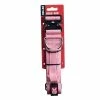 Boss Dog Brand Boss Dog® Brand 20" - 28" Adjustable Pink Dog Collar, Size Xlarge - 60055 - Dog Collars & Leashes -Pets & Wildlife Sales Store fcfc1e2268d374bf657fd7c4672e101c4232eb59 66797041