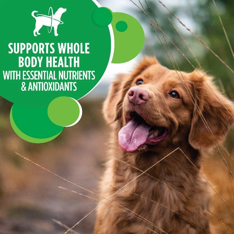 Iams Proactive Health Adult Mini-Chunks Chicken & Whole Grains Recipe Dry Dog Food, 15 lb. Bag 8 Iams Proactive Health Adult Mini-Chunks Chicken & Whole Grains Recipe Dry Dog Food, 15 lb. Bag - Image 6